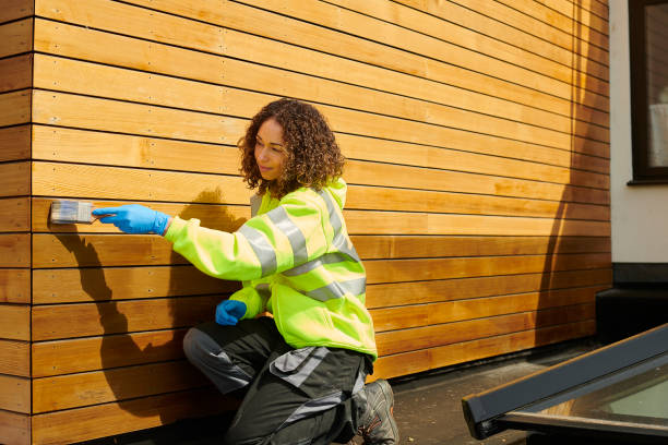 Best Stucco Siding  in Placitas, NM